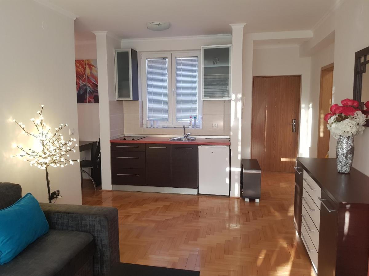 Rajiceva 5- Apartman Sa Prostranom Terasom I Garaznim Mestom Kragujevac Exterior foto